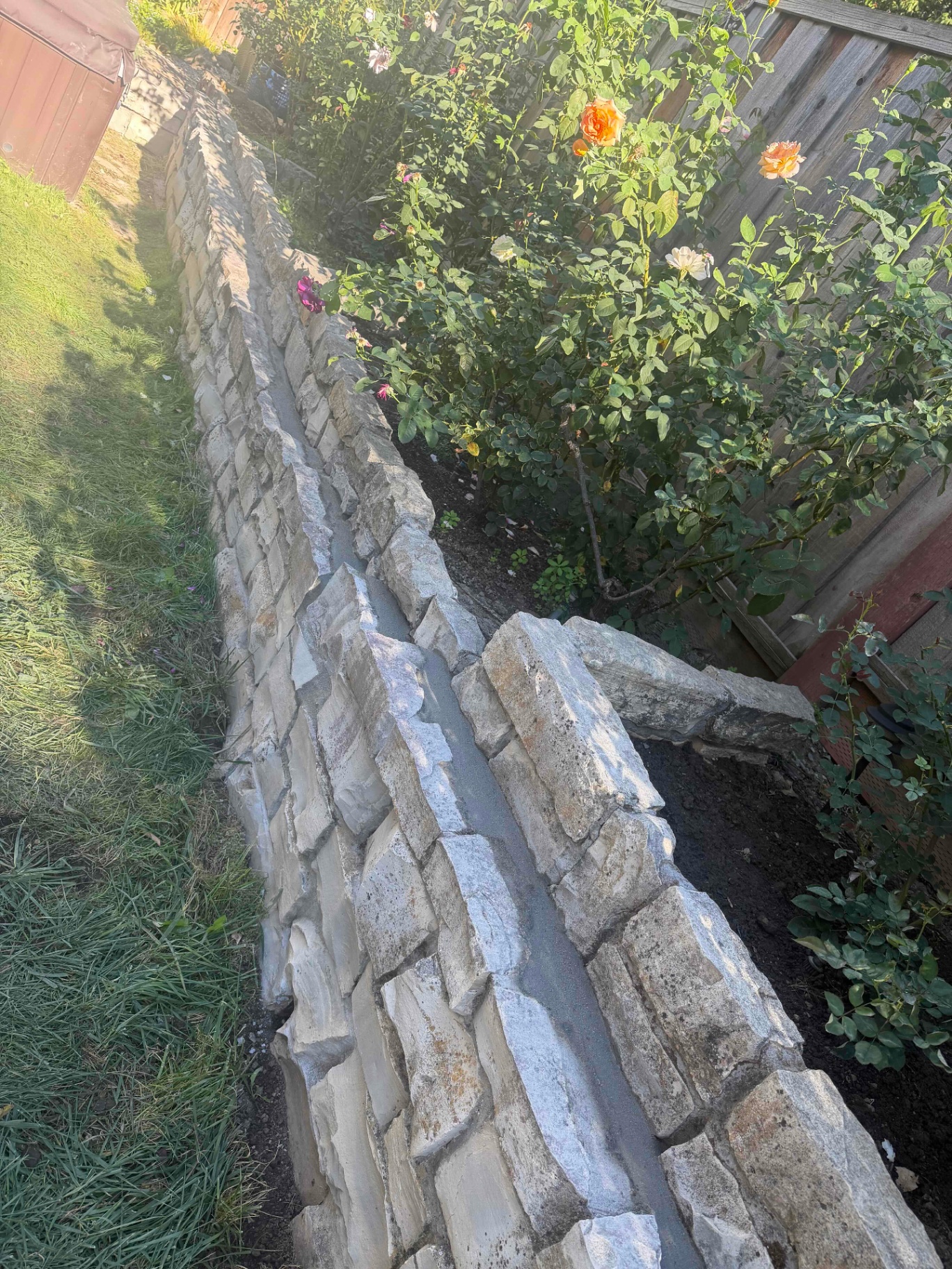 After restoration: the rebuilt stone retaining wall at Georgeta’s Lafayette property, straight and solid with fresh mortar between the stone faces, the rose beds behind it and the hot tub alongside