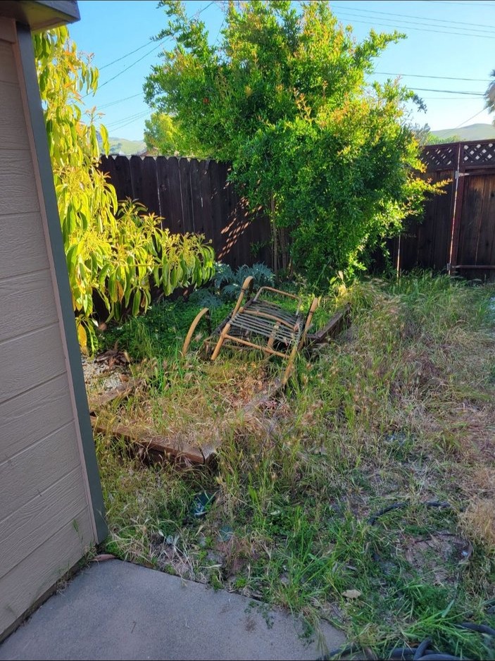 Corner of the overgrown Pittsburg yard with weeds and an old chair before the work