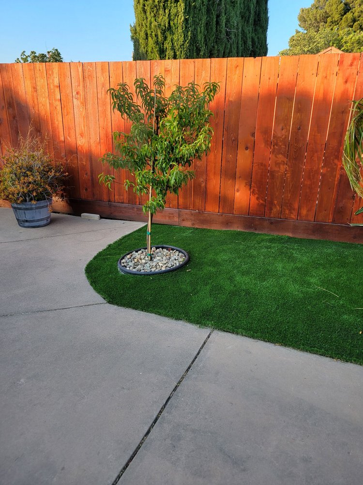 Artificial turf with a rock ring around a young tree next to a concrete patio and a new wood fence