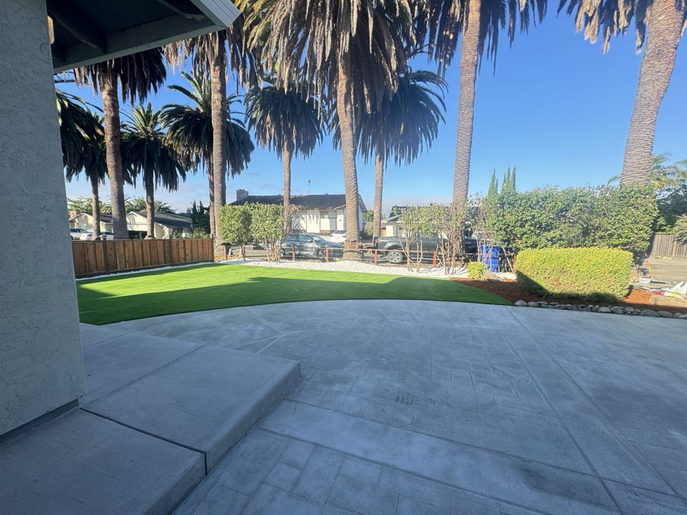 Turf lawn with a white rock border and cobble edging next to the broad concrete patio, with palm trees along the street